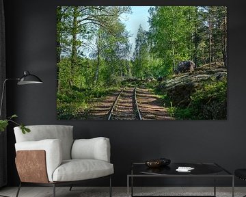 narrow-gauge railway at Målilla by Geertjan Plooijer