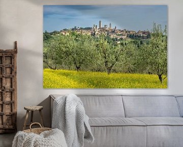 Uitzicht over een lenteweide en olijfbomen naar San Gimignano, Toscane, Italië van Walter G. Allgöwer