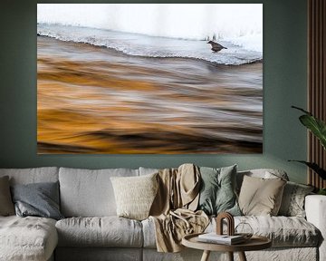 Vogel met wild water van Stijn Smits