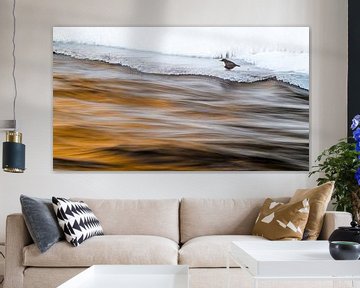Vogel met wild water van Stijn Smits