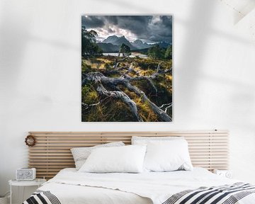 Les Alpes au lever du soleil