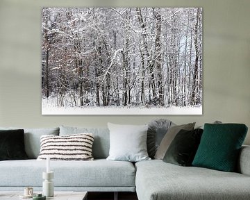 Winter in der Oberlausitz