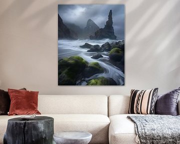Schaduwrijke landschappen