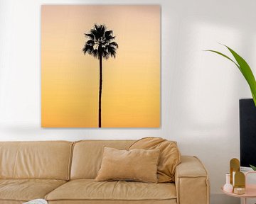 Gouden zonnepalm