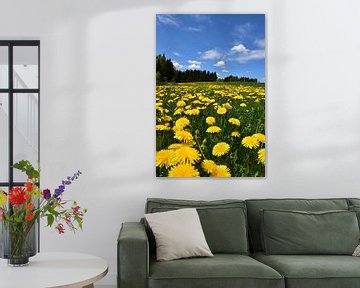A field in bloom in spring by Claude Laprise