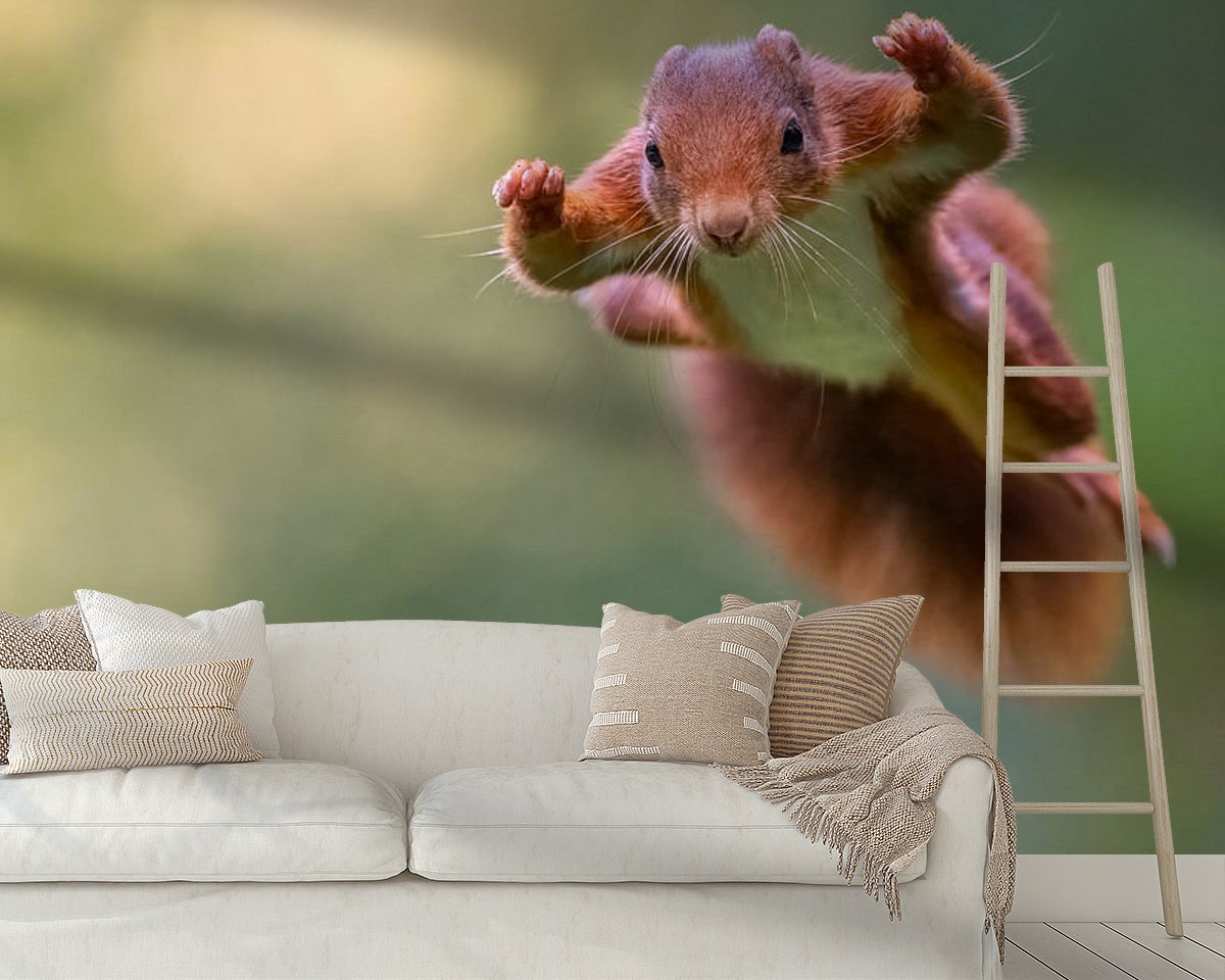 Raumvorschau