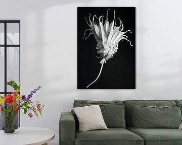 Bloemen zwart wit - Floral 02 van Sander Hupkes