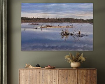 Dood hout op meer van Co Bliekendaal