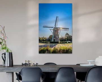 Molen Weltevreden in Domburg (staand) van Danny Bastiaanse