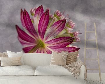 Zeeland button with mixed shades of grey in the background by Marjolijn van den Berg