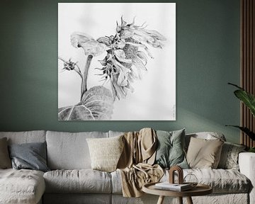 Zonnebloem van Cobi de Jong