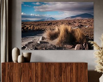L'Altiplano bolivien en images sur Sebastiaan Bergacker