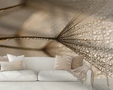 Natural peace in a panorama: Shining in the light by Marjolijn van den Berg