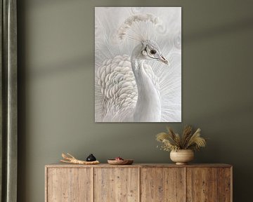 Prachtige witte pauw van haroulita