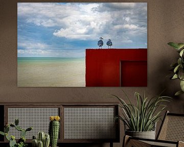 twee duiven die de horizon aan de kust overzien