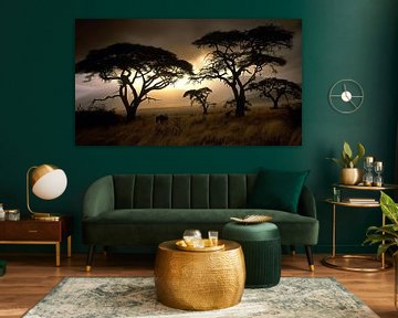 Afrikaanse serengeti savanne zonsondergang