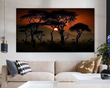 African serengeti savannah sunset