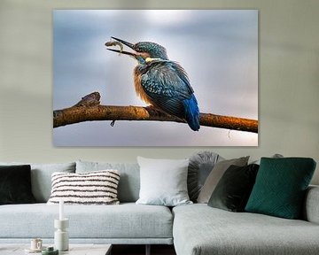 Eisvogel mit Fisch von Egon Zitter
