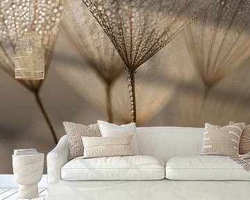 Natural calm: Shining in the light by Marjolijn van den Berg