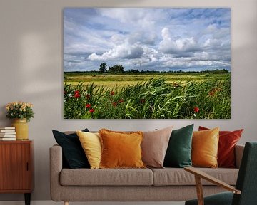 View Drente with poppies and clouds.