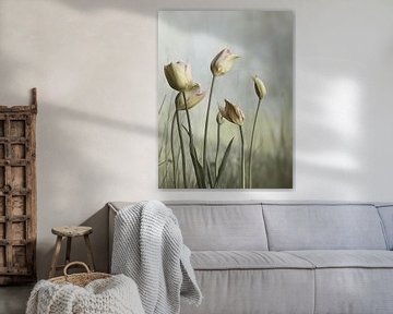 Tulpen in pastelkleuren van Japandi Art Studio