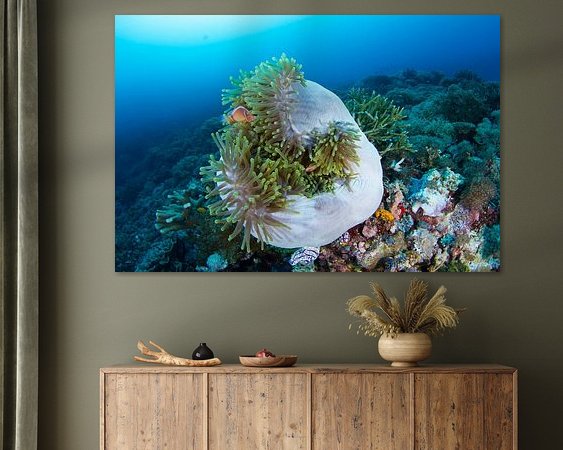 Voorbeeld van het werk in een kamer