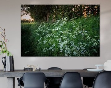 fluitekruid in landschap bij zonsondergang van Wicher Oort