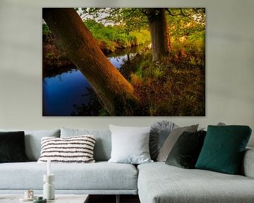 landschap bij zonsopgang van Wicher Oort