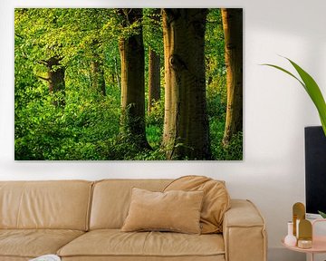 landschap met eiken van Wicher Oort