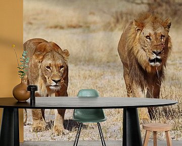 Twee leeuwen - Wilde dieren in Afrika van W. Woyke