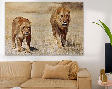 Twee leeuwen - Wilde dieren in Afrika van W. Woyke