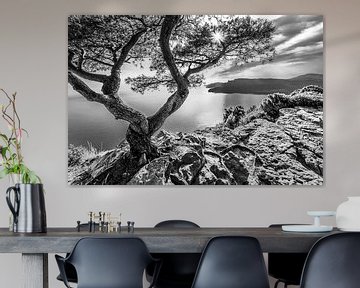 Corniche des Crêtes aan de Côte d'Azur - monochroom van Werner Dieterich
