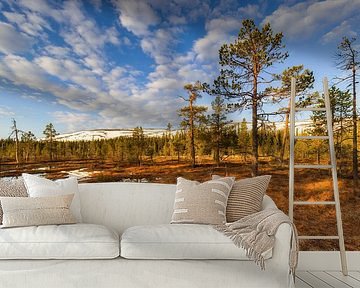 Landschaft in Schweden zum Sonnenaufgang von Daniela Beyer