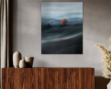 Eenzame boom in landschap
