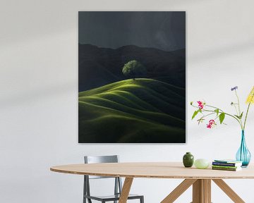 Arbre dans une prairie tranquille