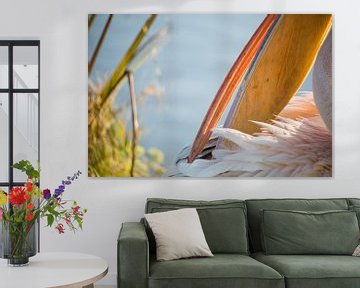 Vogels | Roze pelikaan portret van Servan Ott
