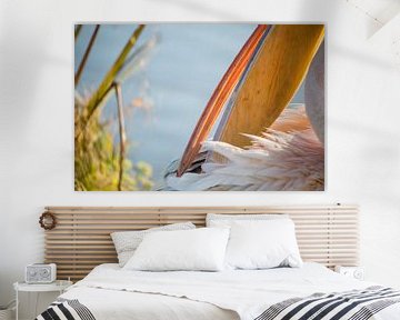 Vogels | Roze pelikaan portret van Servan Ott