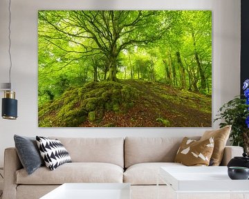 Killarney (Irland) von Marcel Kerdijk