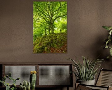 Killarney (Irland) von Marcel Kerdijk