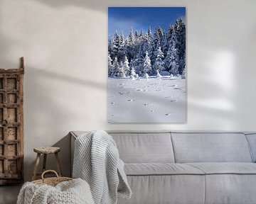 A snowy forest after the storm by Claude Laprise