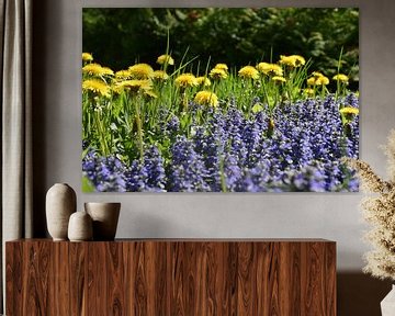 Wild flowers in the garden by Claude Laprise