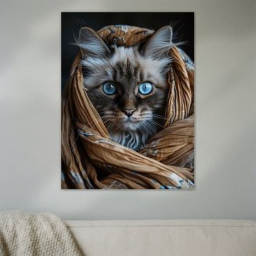 Chat tibétain aux yeux bleus sur haroulita