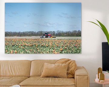 Tulpen op de boerderij by Marco Bakker
