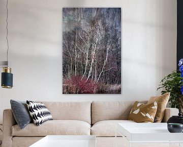 Birch Trees in Winter by Rietje Bulthuis