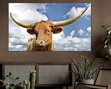 longhorn 8