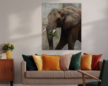 Elefant by Iwona Sdunek alias ANOWI