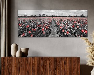 Tulpen 2015 - 004 van Alex Hiemstra