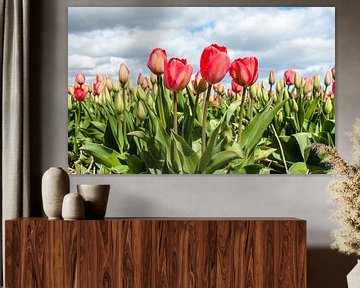 Tulpen 2015 - 002 van Alex Hiemstra