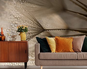 Natural calm: Shining in the light by Marjolijn van den Berg