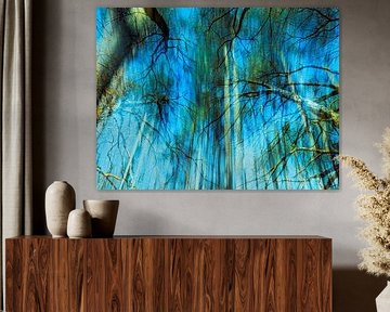 Spiritual forest